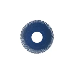 Abrasives Dedeco Sunburst β 6 In. TC Radial Discs β 1 In. Arbor β Thermoplastic Cleaning And Polishing Tool, Fine 400-Grit (40-Pack)